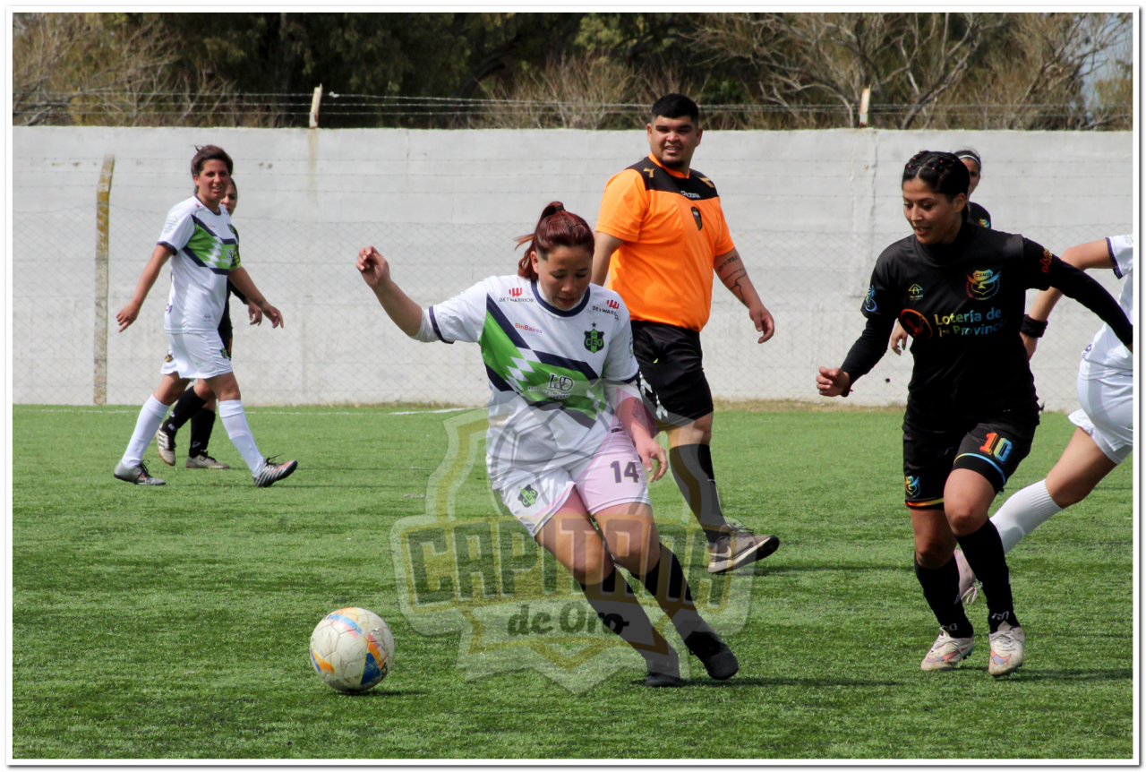 IMG_550_20230925-232514_1