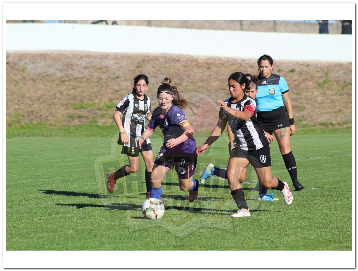 IMG_791_20231109-035537_1