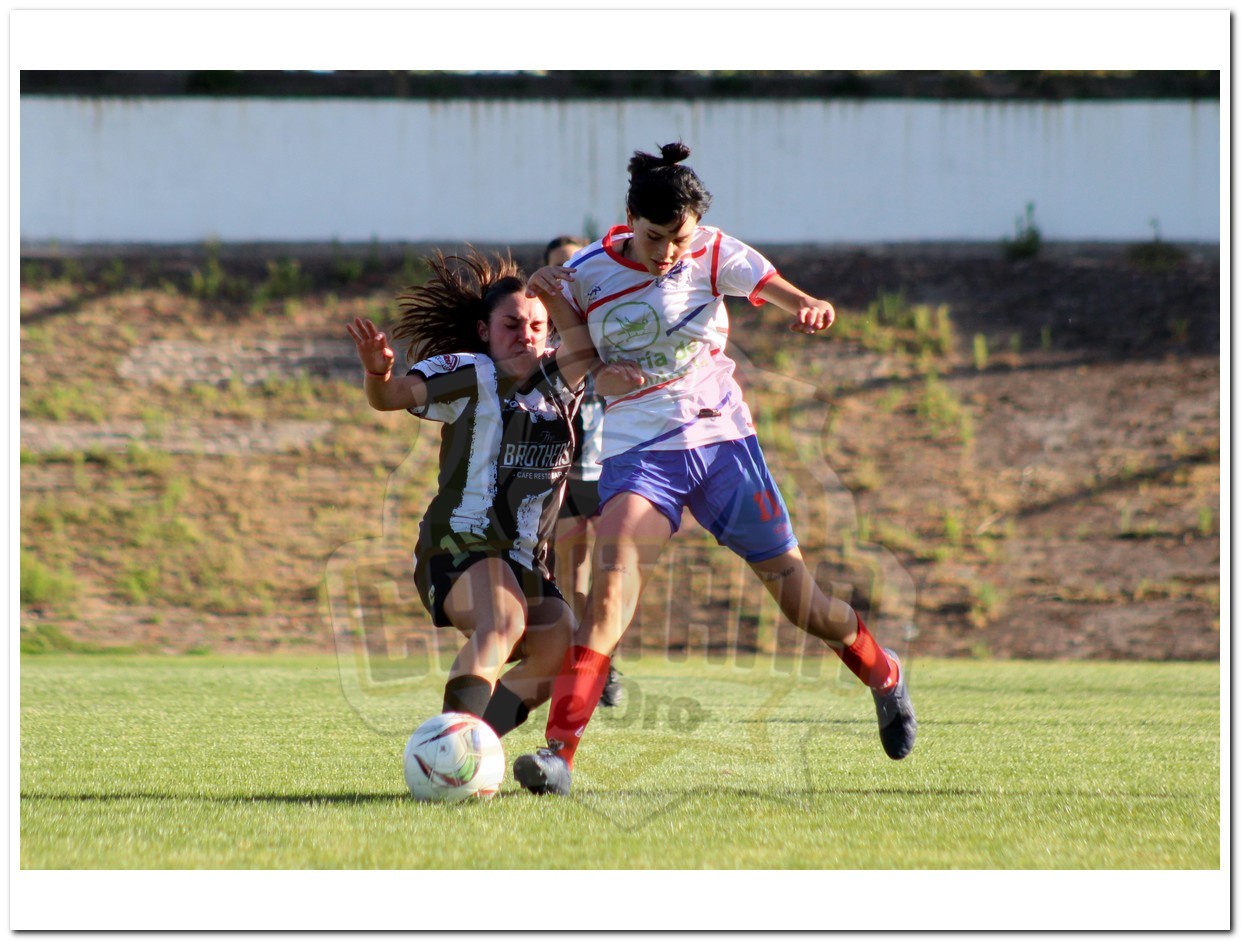 IMG_888_20231126-032534_1