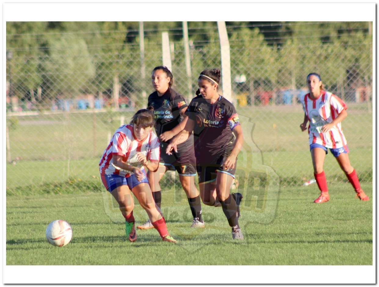 IMG_701_20240304-144138_1