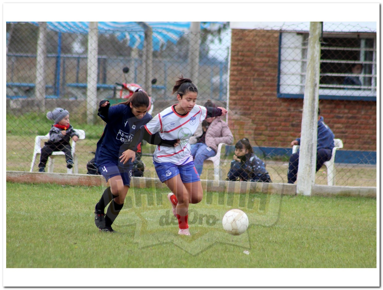 IMG_896_20240521-004222_1
