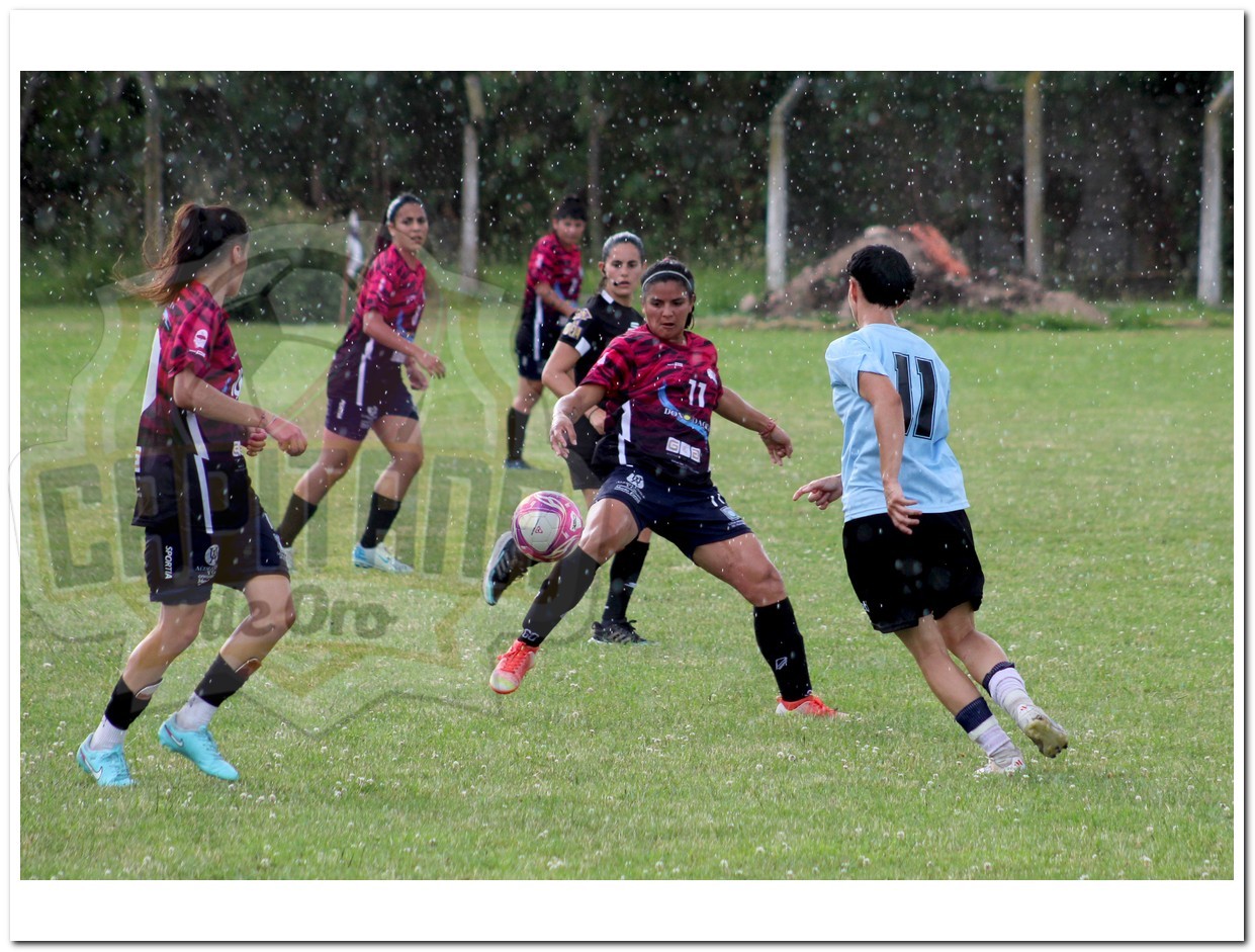 Olavarría tuvo otra dura caída ante la Liga del Sur