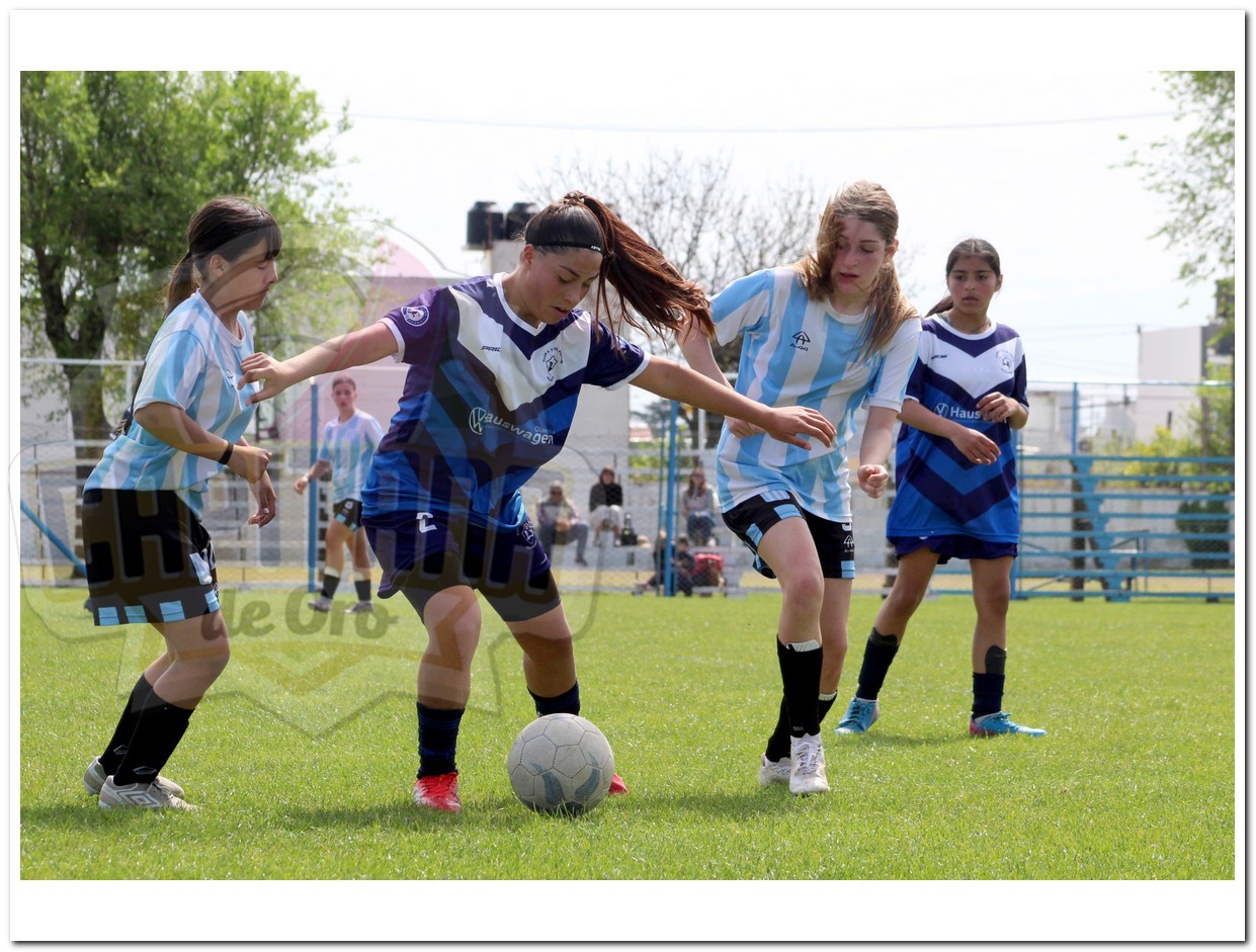 Se disputó la séptima fecha del formativo del Torneo 